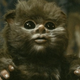 Image for article titled 25 Glorious Years of Loving the Ewoks